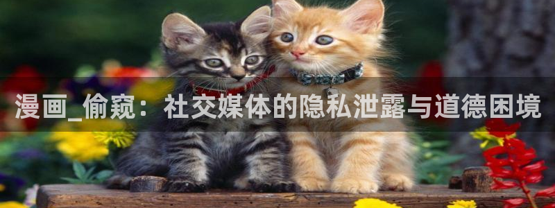 歪歪韩漫漫免费漫画